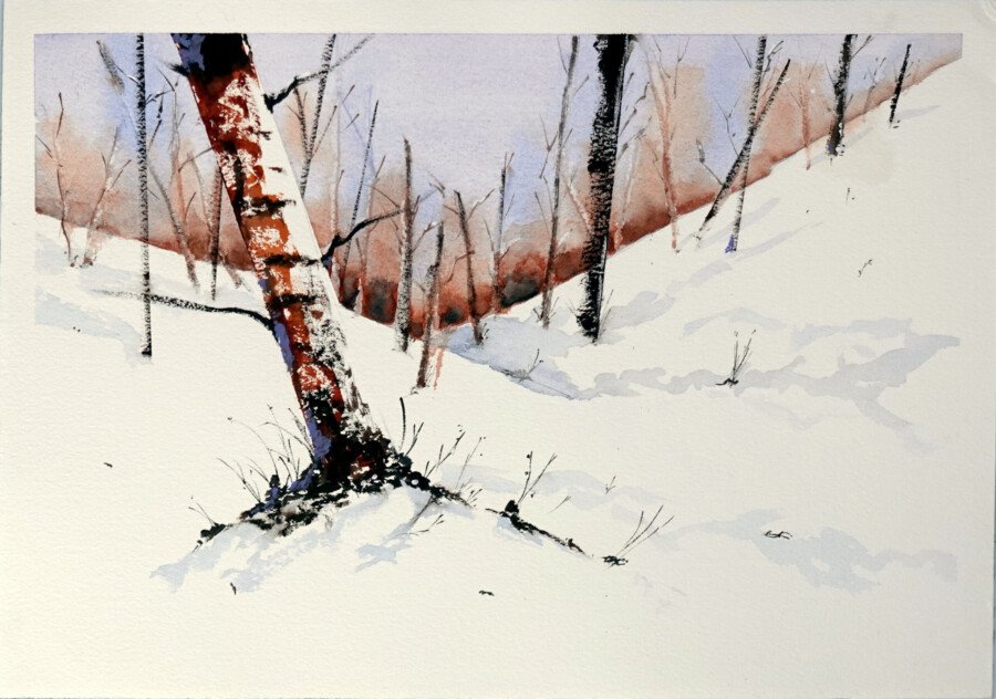 Luz de invierno 21x30cm